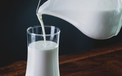 Leite com e sem lactose – entenda a real diferença!